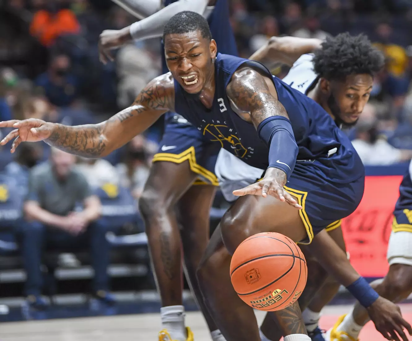 Gold Blue Debut action.