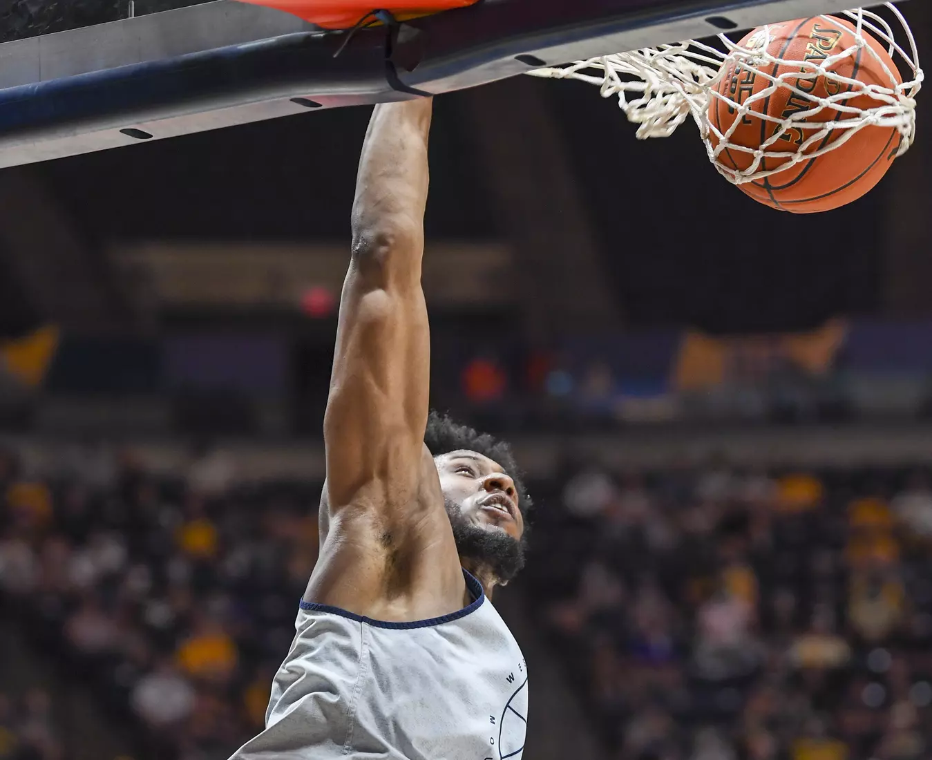 Gold Blue Debut action.