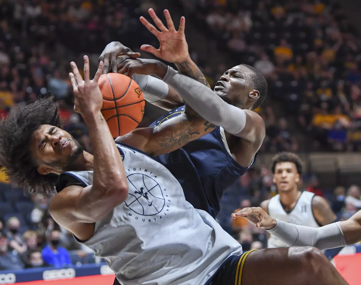 Gold Blue Debut action.