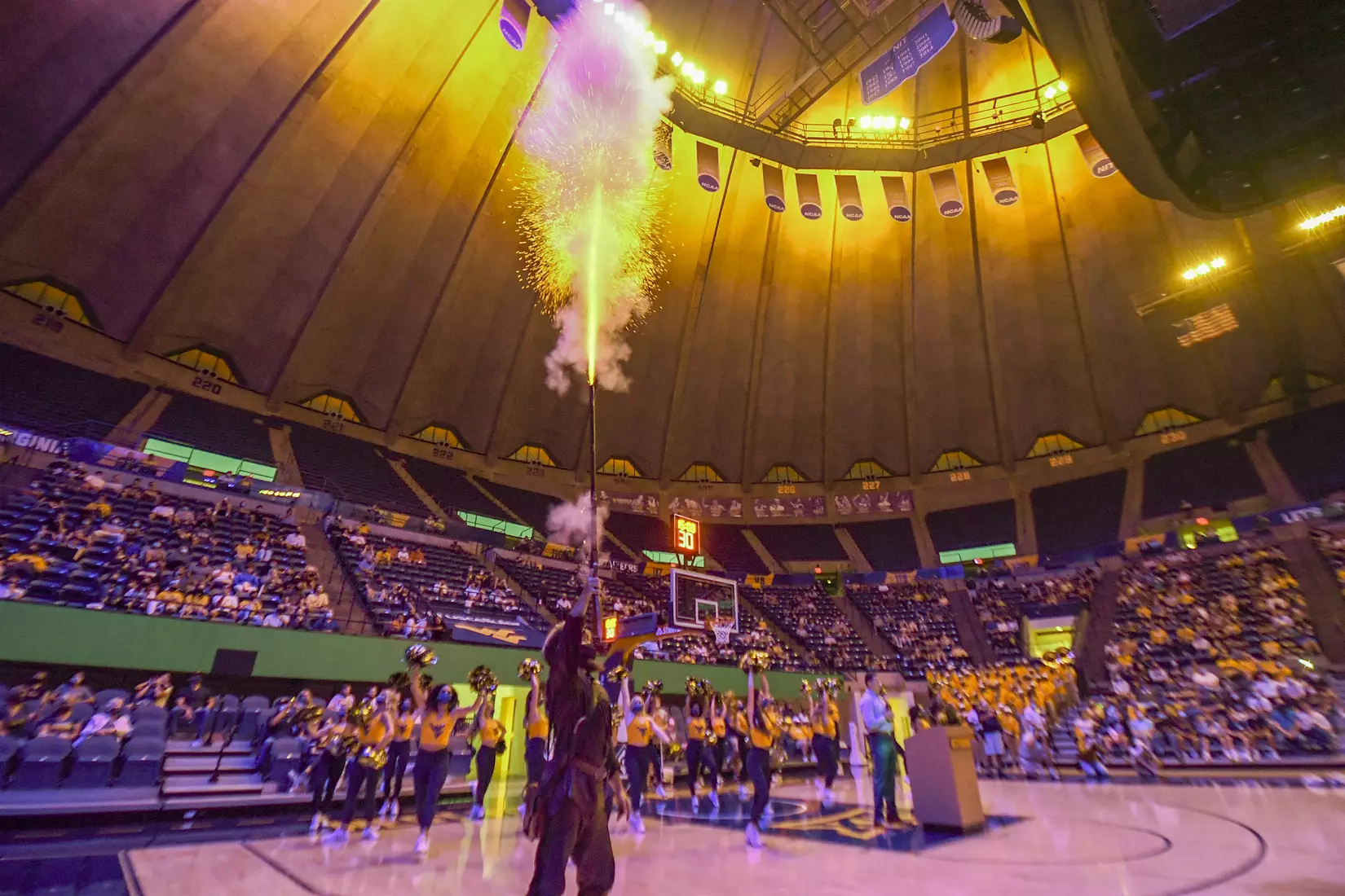 Gold Blue Debut action.
