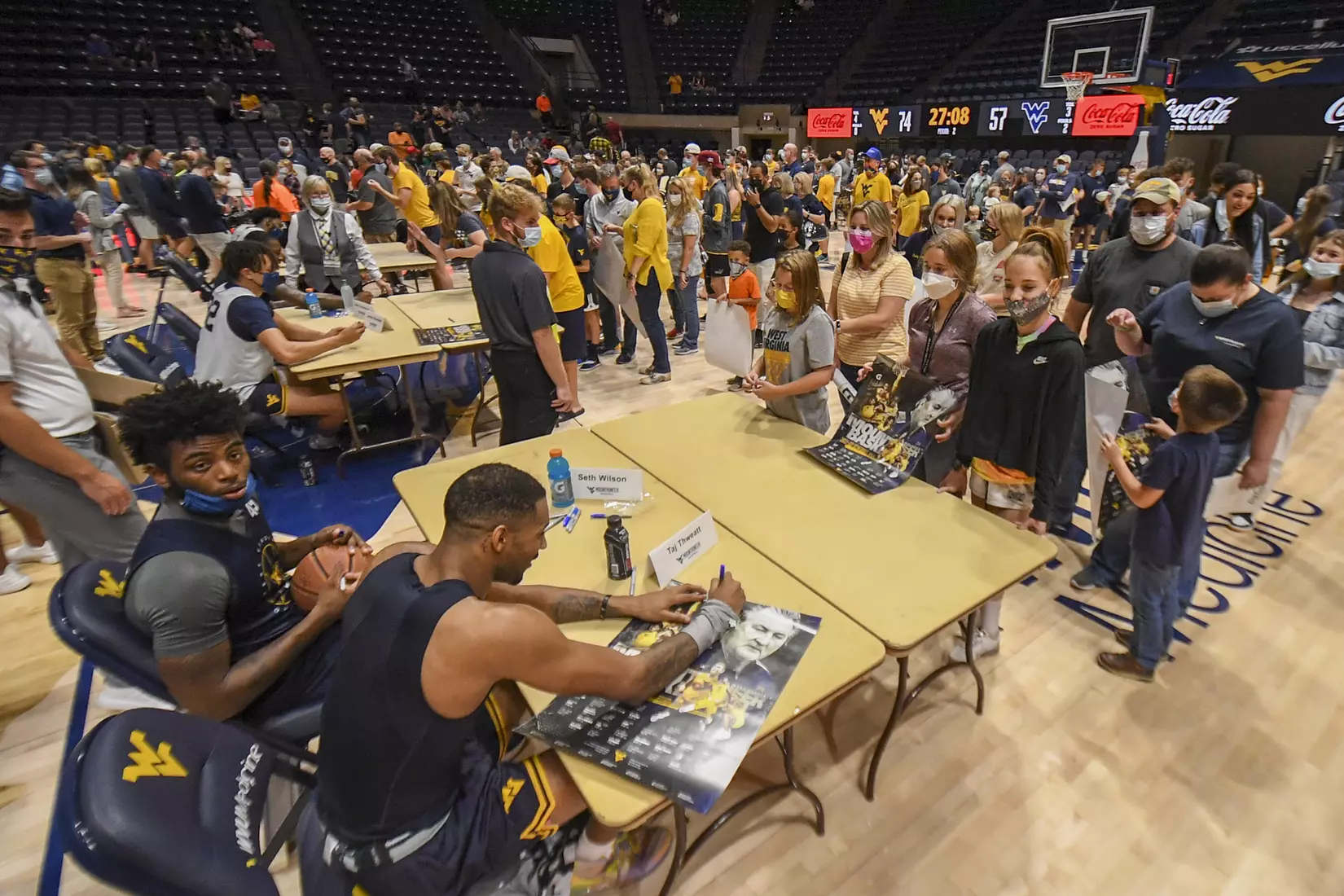 Gold Blue Debut action.