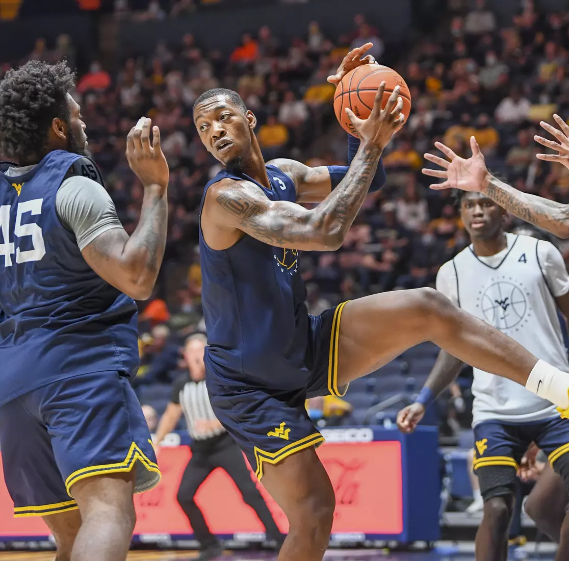 Gold Blue Debut action.