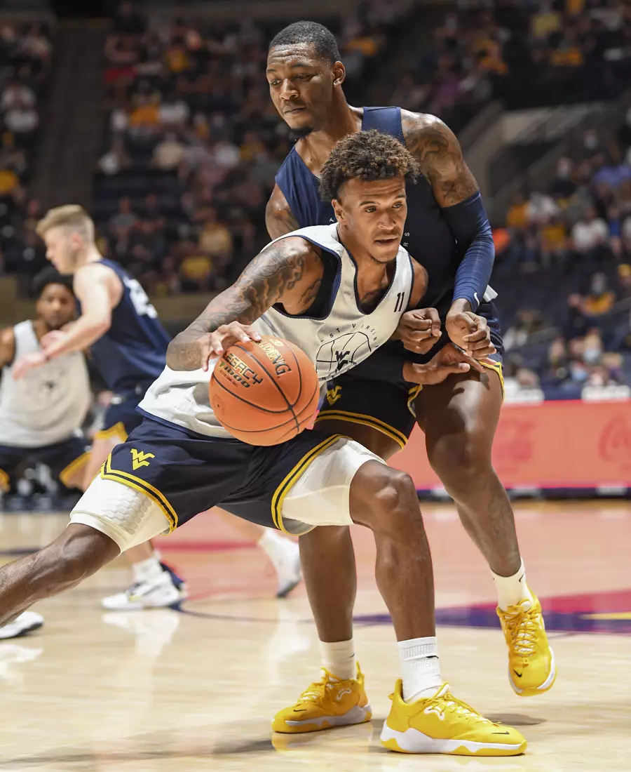 Gold Blue Debut action.