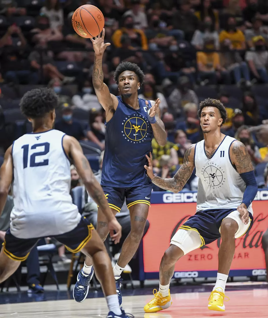 Gold Blue Debut action.