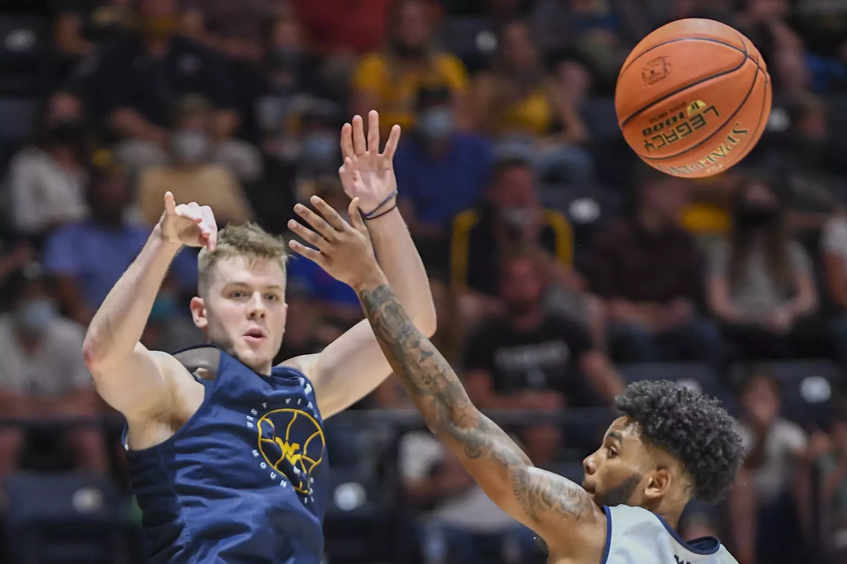 Gold Blue Debut action.