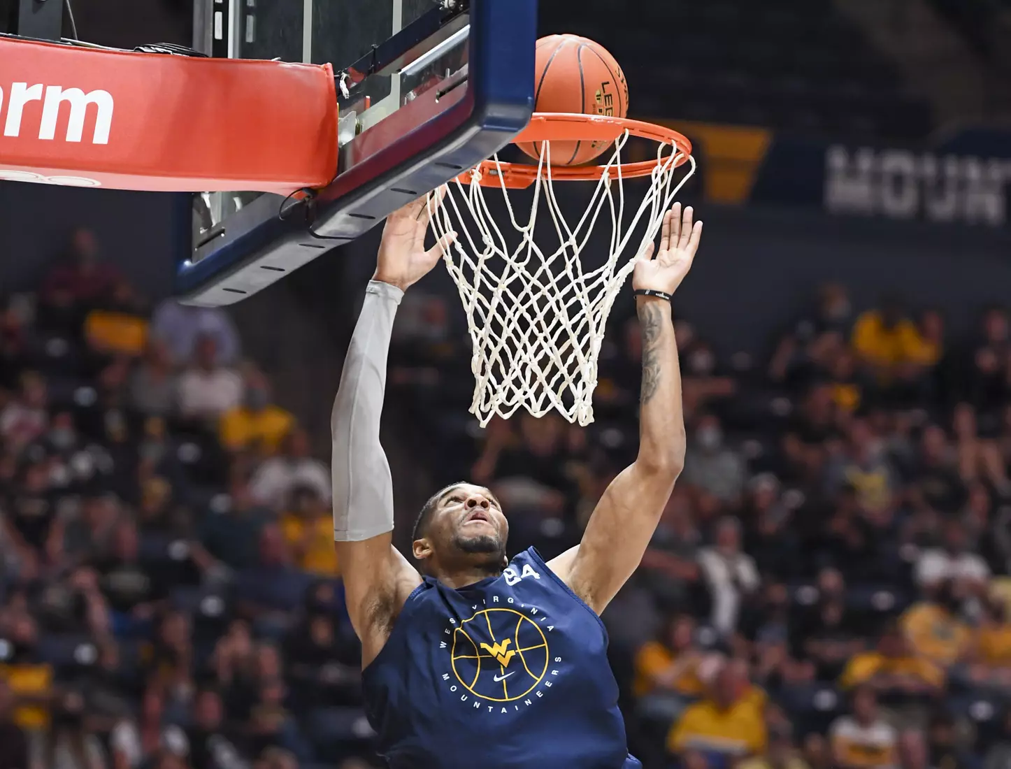 Gold Blue Debut action.