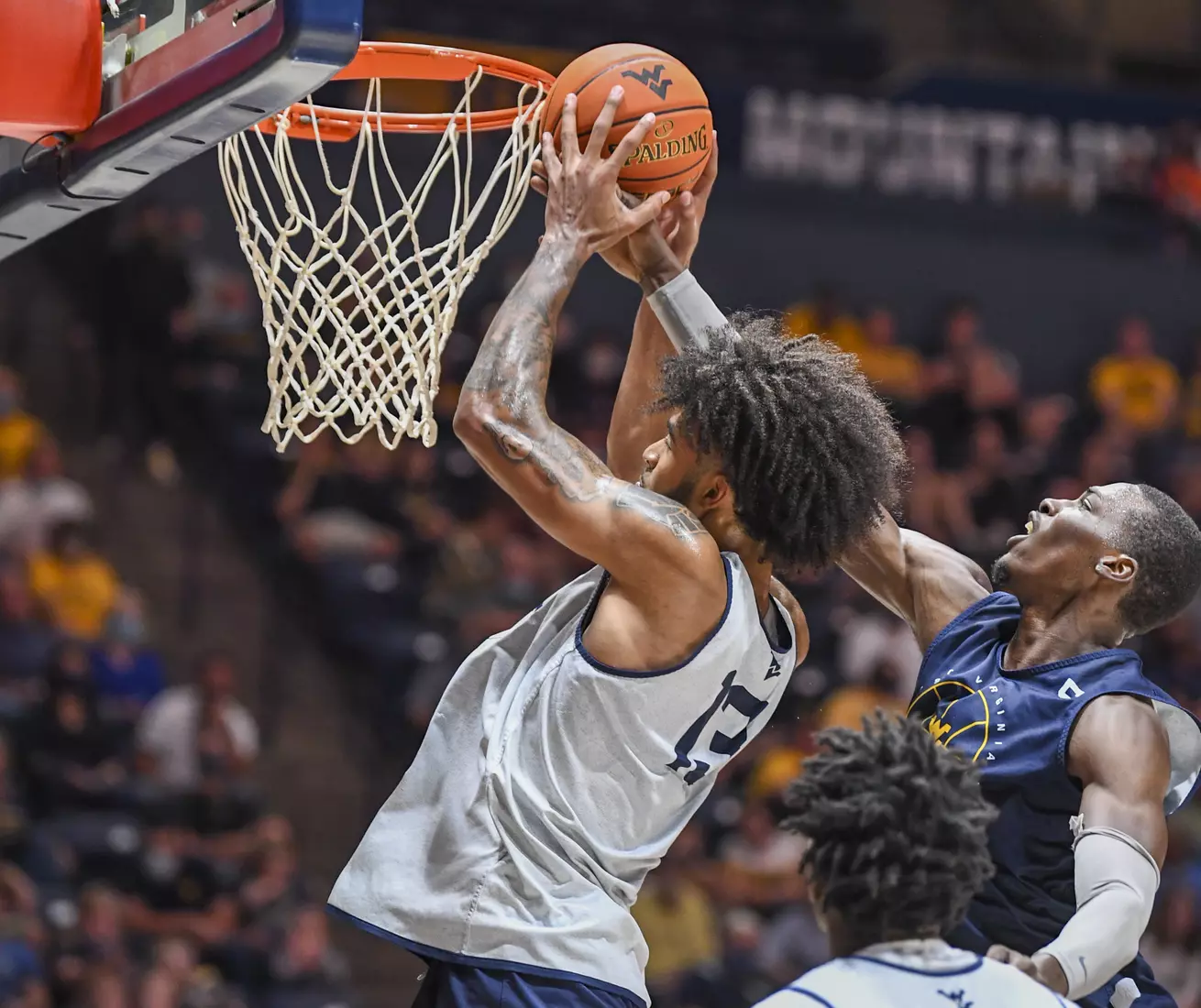 Gold Blue Debut action.