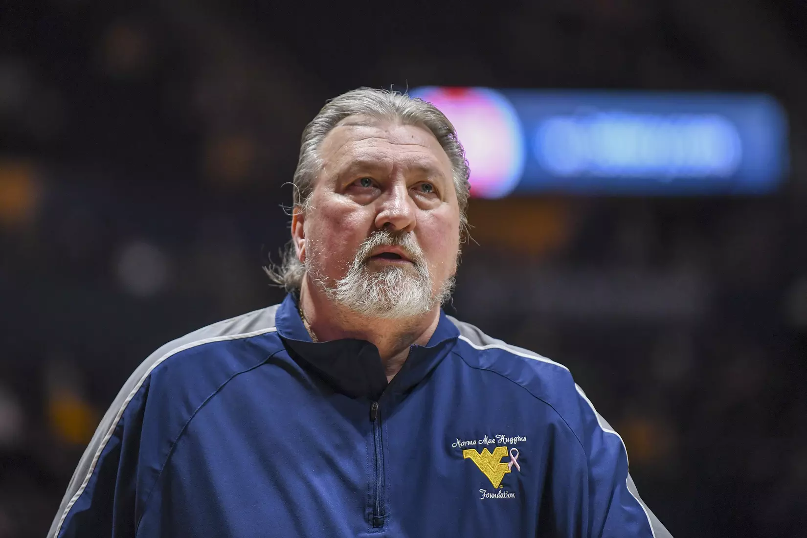 Head coach Bob Huggins