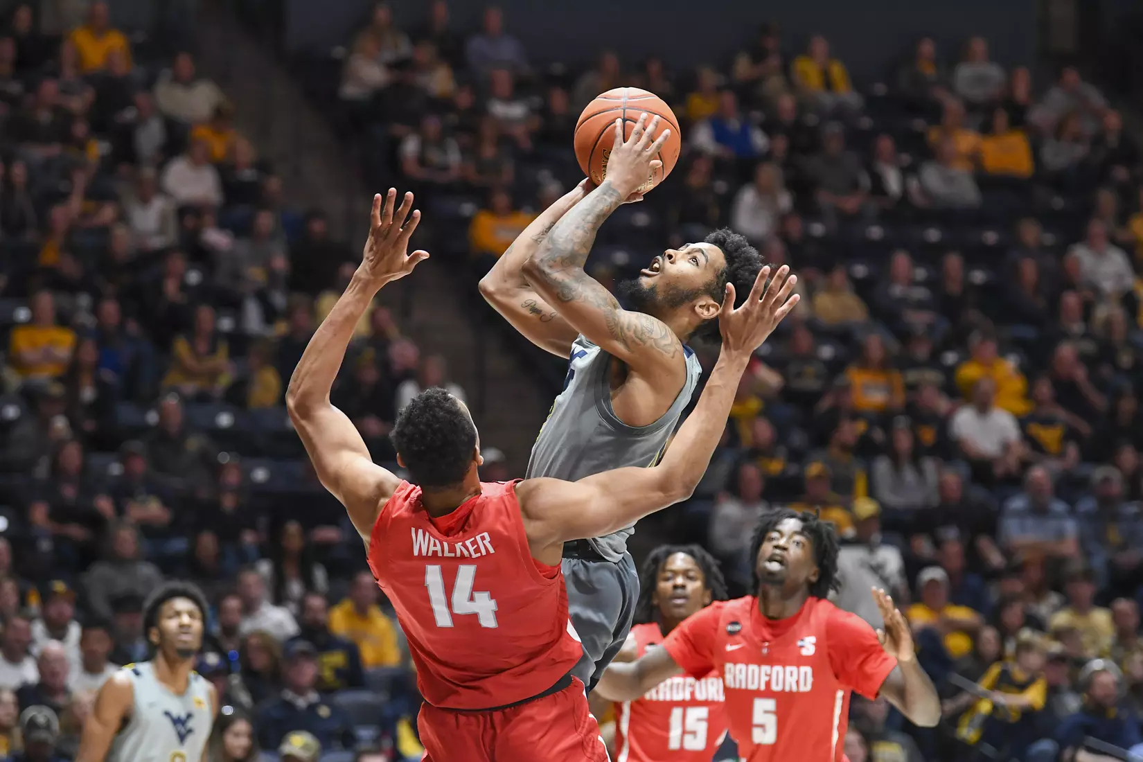 WVU vs Radford action
