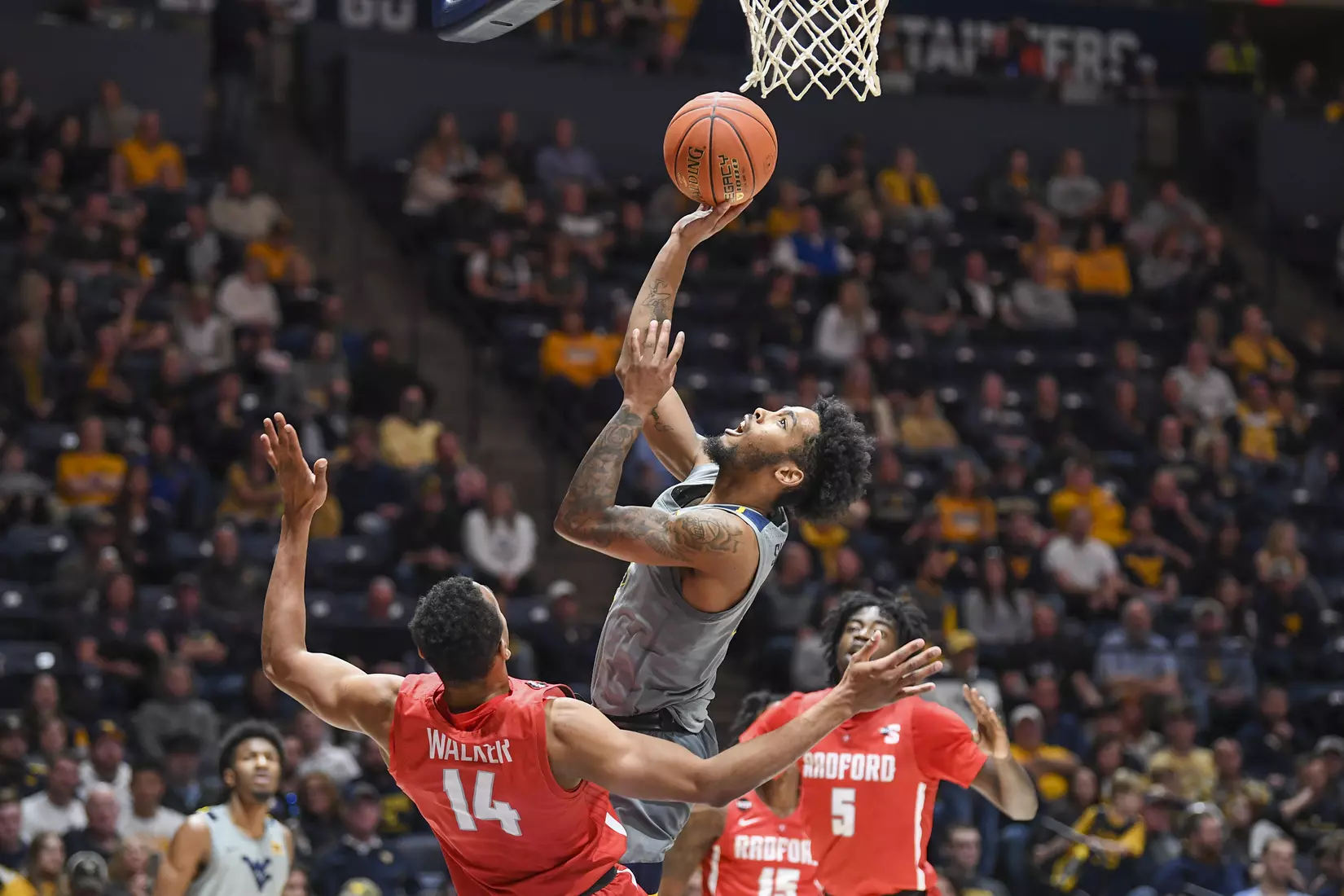 WVU vs Radford action