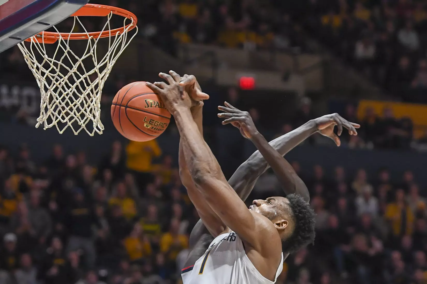 Pauly Paulicap fights for a rebound.