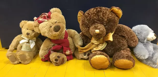 teddy-bear-toss-story-12-26-15.jpg