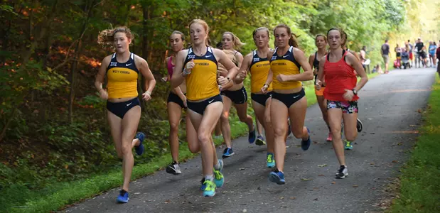 xc-main2.jpg