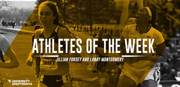 Forsey-Montgomery-AoW-main.jpg