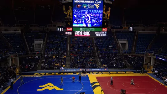wrestling-stock-main
