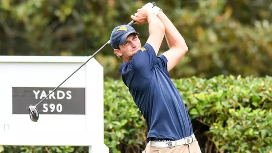 Schneider-Main-110317