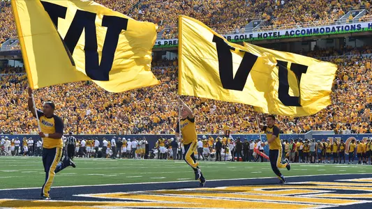 Milan Puskar Stadium Flags