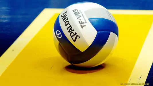 volleyball-main-stock