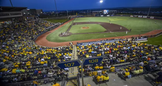 WVU-Pitt Baseball Game