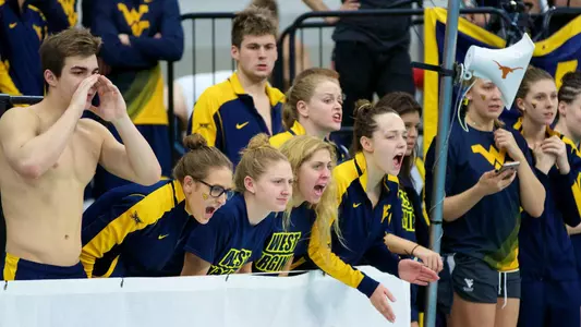 wvu cscaa