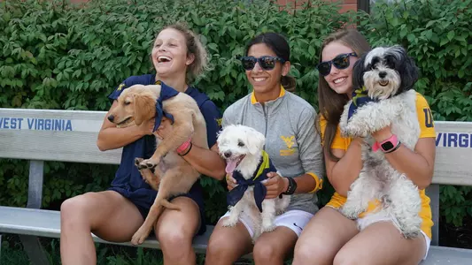 Women's Soccer Dogs