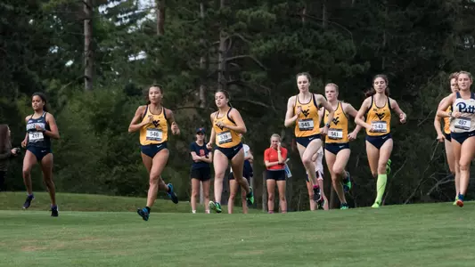 wvu xc