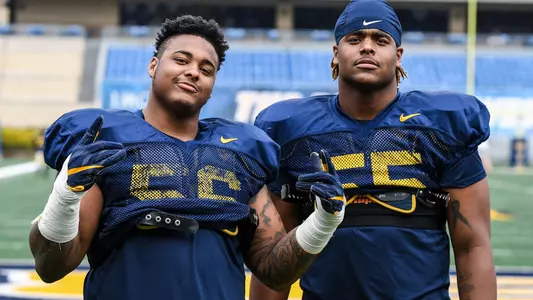 Darius and Dante Stills