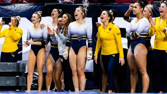 team-celebration