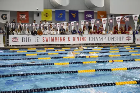 Big 12 Swimming and Diving Championship
