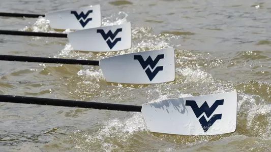 Zoom - Rowing