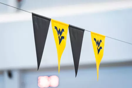 Aquatic Center flags