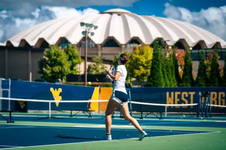 momo tennis