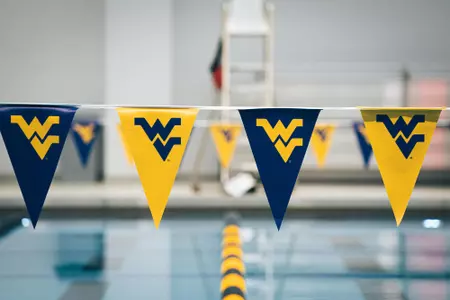 swim flags