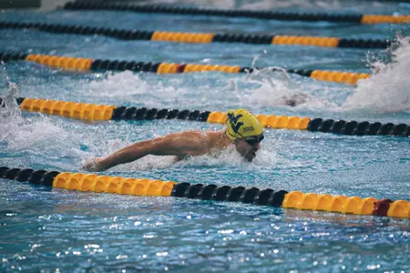 swim dixon