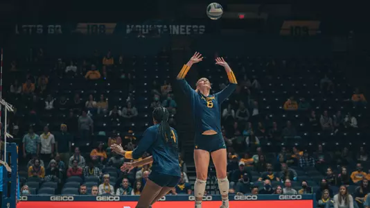 WVU vb