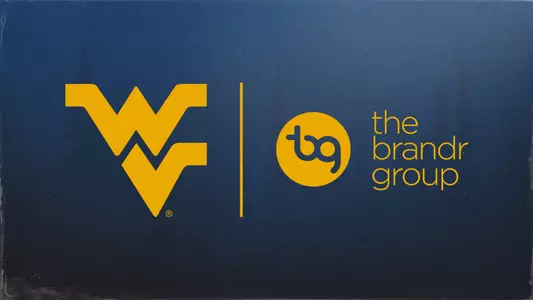 the brandr group