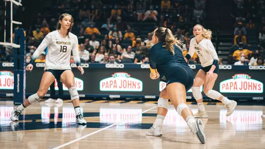 Volleyball
