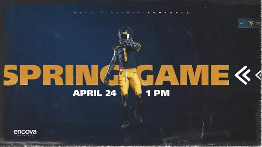 Spring-Game-Graphic