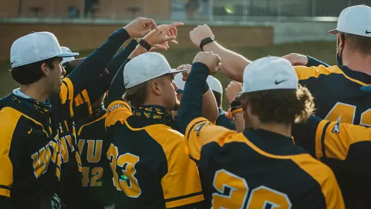 wvu baseball