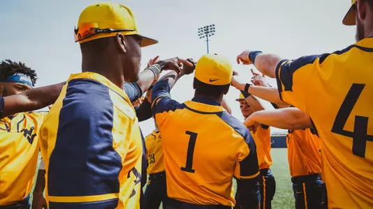 wvu baseball