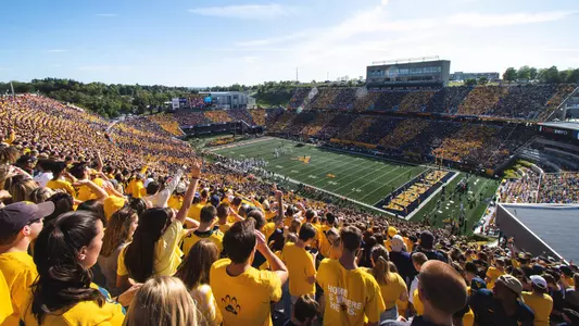 Milan Puskar Stadium