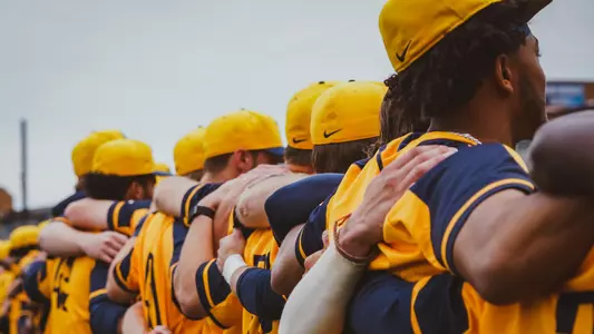 wvu baseball