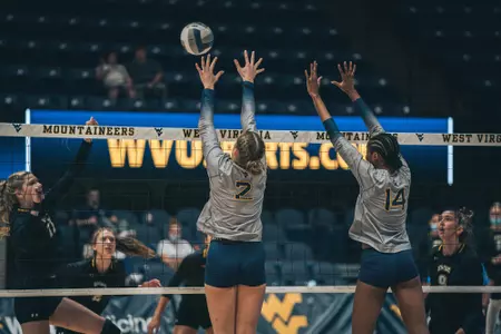 Volleyball