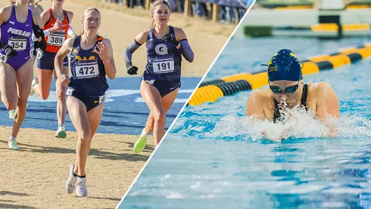 Cheatwood and McCabe SAOW