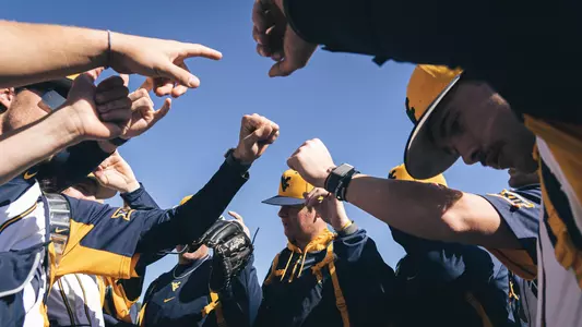 wvu baseball