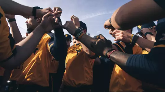 wvu baseball