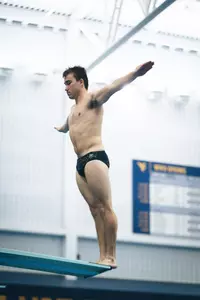 cover dive
