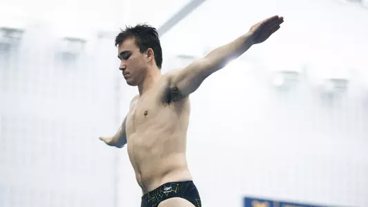 cover dive