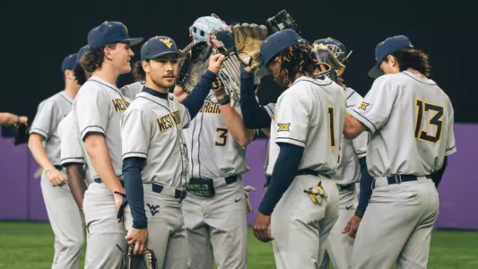 wvu baseball