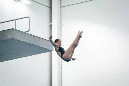 krusinski diver